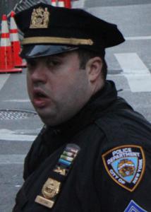 ROBERT J. CATTANI