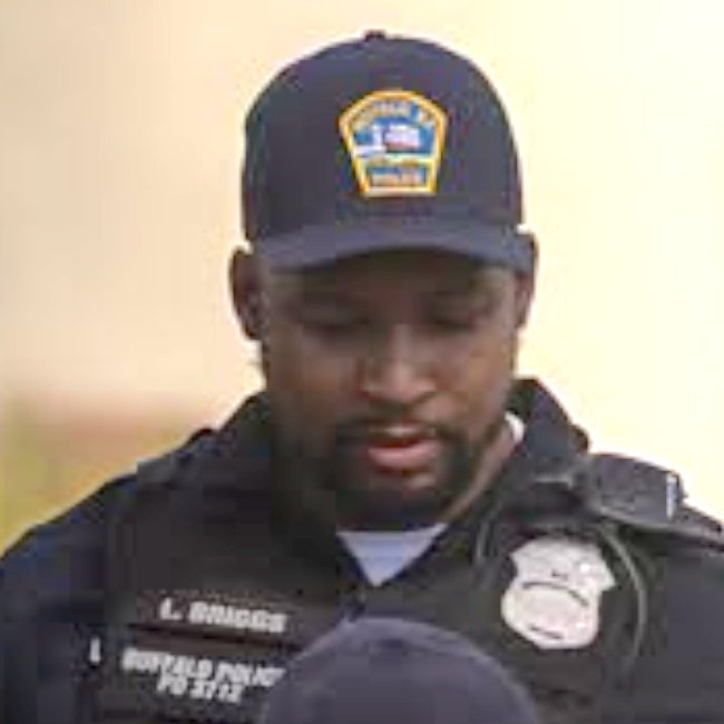 Lawrence L. Briggs II
